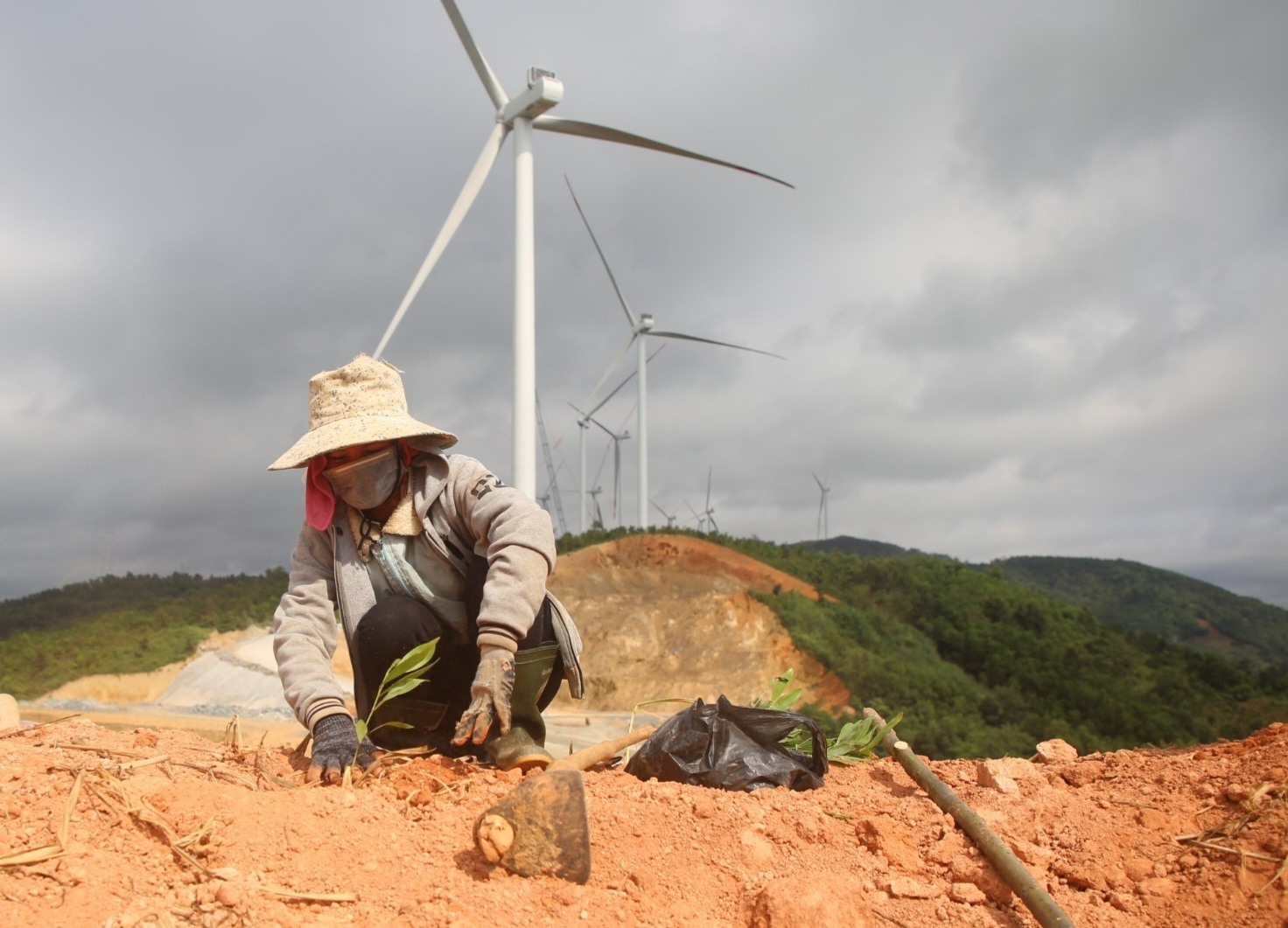 Trồng cây xanh chống sạt lở khu vực dự án điện gió ở Hướng Hóa - Ảnh: M.L