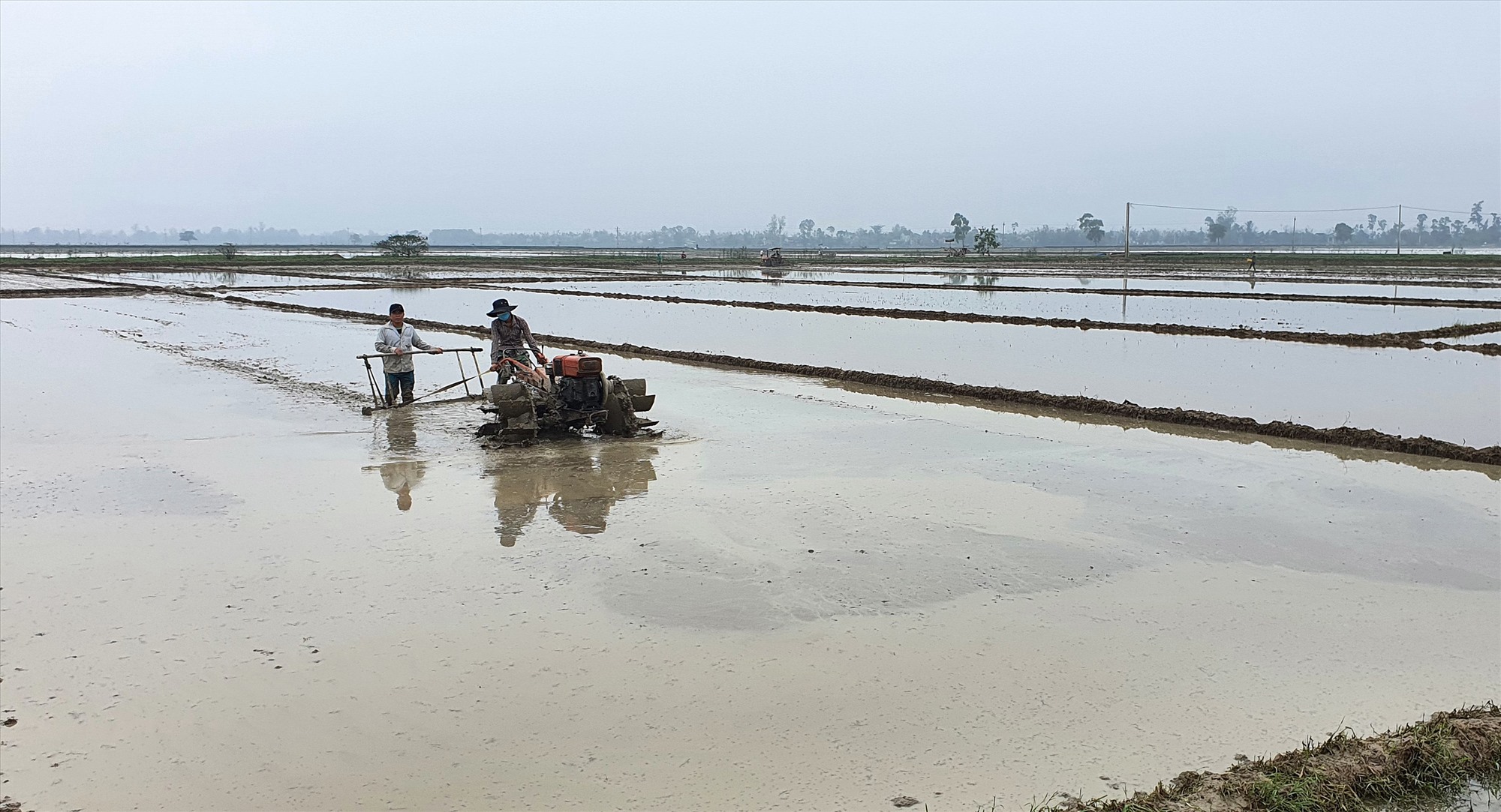 Nông dân huyện Triệu Phong làm đất chuẩn bị gieo cấy vụ đông xuân - Ảnh: L.A