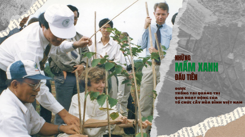 Những mầm xanh đầu tiên được trồng bởi các cá nhân yêu chuộng hòa bình thông qua Tổ chức Cây hòa bình Việt Nam -Ảnh: Q.H
