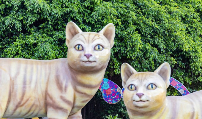 Linh vật mèo Vũng Tàu được trưng bày tại công viên Tam Giác, bãi Trước (Vũng Tàu, Bà Rịa - Vũng Tàu). Ngoài cặp mèo lớn, quanh công viên cũng được bài trí nhiều tượng mèo với hình dáng, màu sắc khác nhau. Ảnh: Yêu Vũng Tàu.