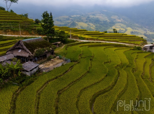 Cảnh sắc thiên nhiên rực rỡ cùng khí hậu trong lành mang lại sự thanh bình, yên ả, xua đi mọi bộn bề lo toan của thị thành.