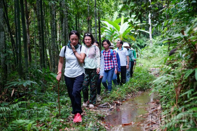 Ngoài Xà Phìn thì du khách còn có thể trekking 10km theo sườn Đông dãy Tây Côn Lĩnh hùng vĩ từ thôn Xà Phìn đến Khuổi My (xã Phương Độ, thành phố Hà Giang) đến thôn Nà Màu (xã Phương Tiến, huyện Vị Xuyên).