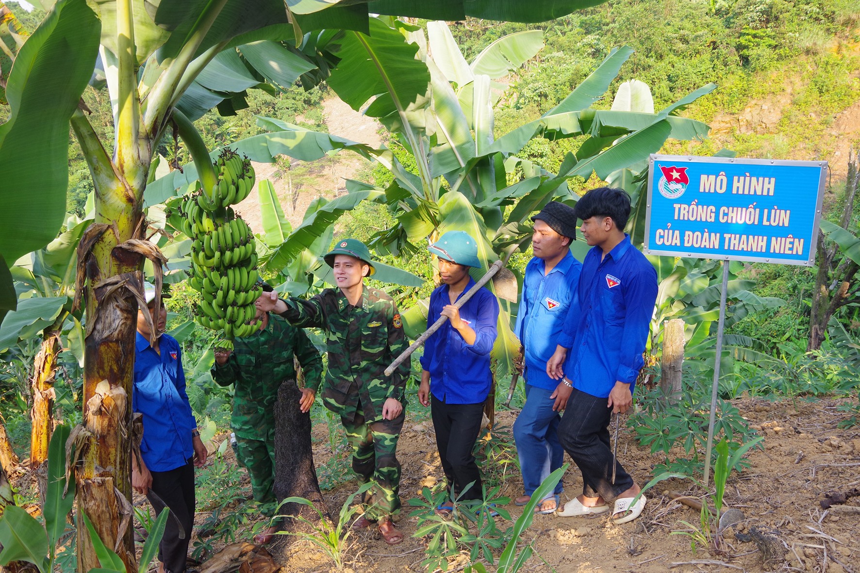 Anh Hồ Văn Mão (thứ 2 bên phải) tiên phong xây dựng mô hình “Trồng chuối lùn” xen canh sắn trên đất rừng hoang hóa ở thôn Pa Ling -Ảnh: H.G