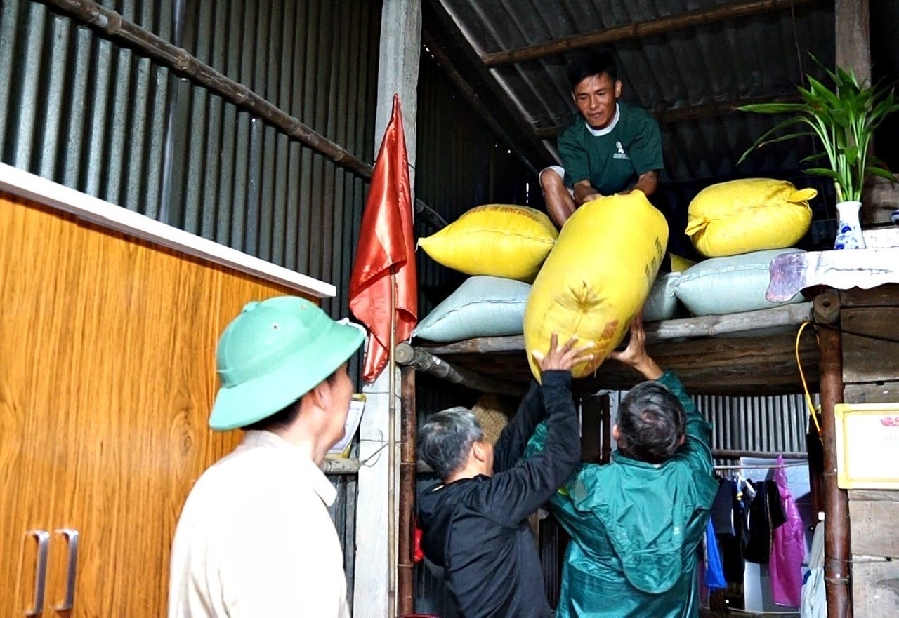 Anh Nguyễn Quang Thái, thôn Trung Đơn, xã Hải Định, Hải Lăng chủ động cất trữ lúa lên chái nhà phòng ngừa mưa lụt - Ảnh: T.T