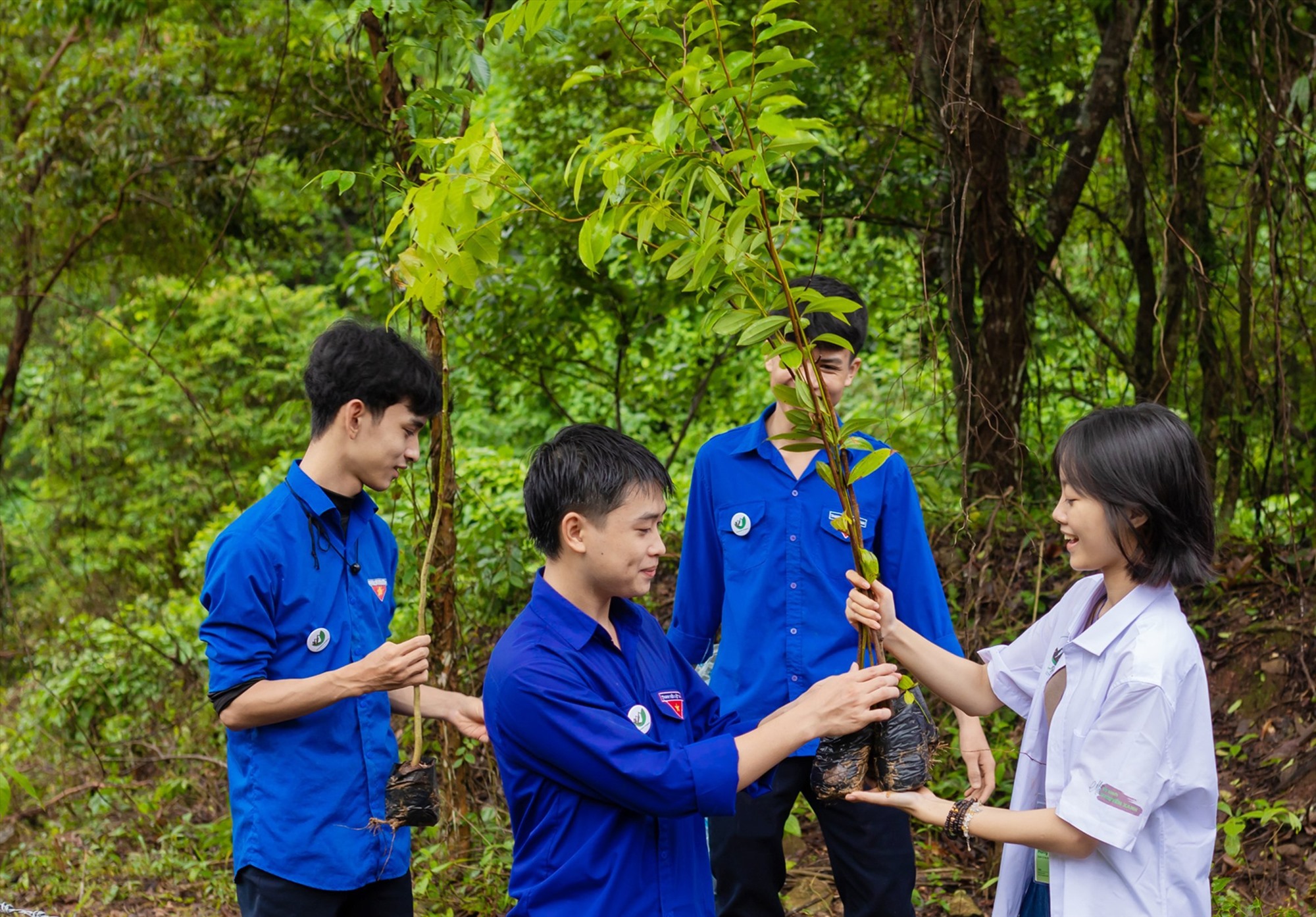 Bạn Lâm Hồng Phúc trao cây giống trồng rừng cho các cộng tác viên tham gia dự án Green Era - Ảnh: Đ.V