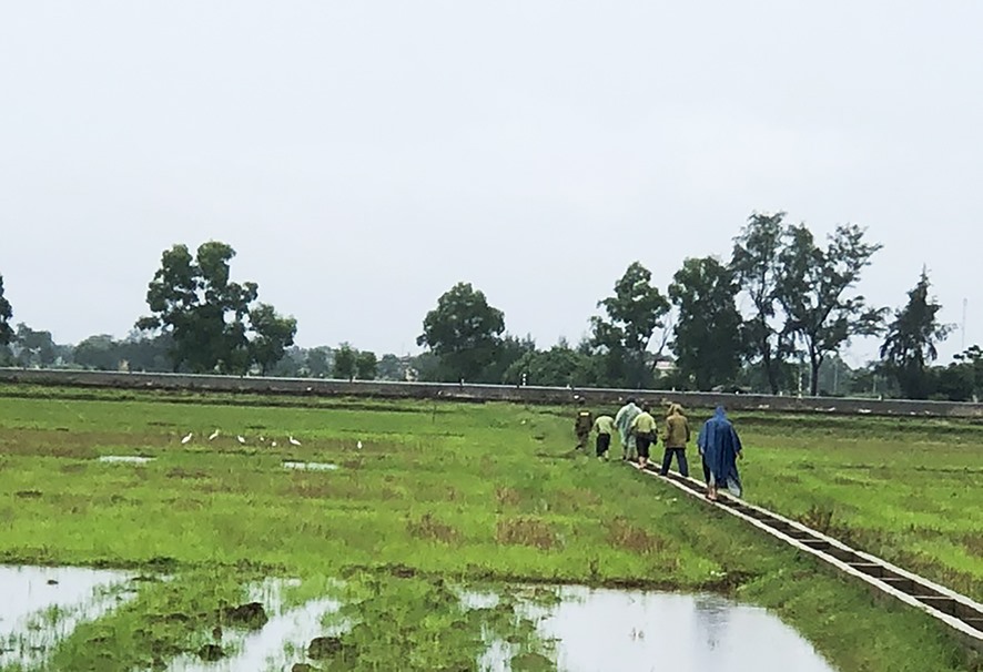 Lực lượng chức năng kiểm tra hiện trường bẫy bắt chim hoang dã, di cư ở Hải Lăng - Ảnh: T.L