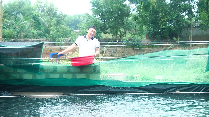 Anh Nguyễn Đăng Phi cho cá ăn - Ảnh: M.H