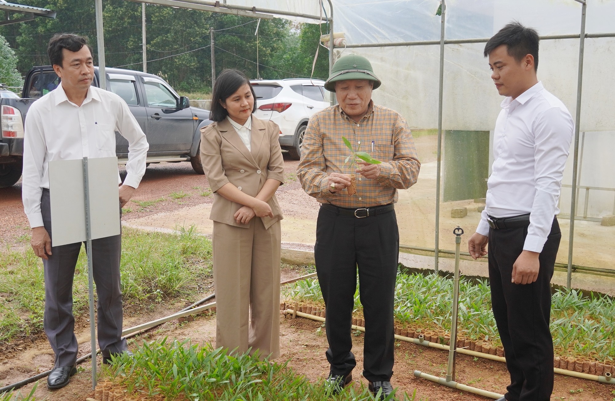 Phó Chủ tịch Thường trực UBND tỉnh Hà Sỹ Đồng kiểm tra mô hình vườn ươm cải tiến ươm giống cây lâm nghiệp tại xã Vĩnh Hà, huyện Vĩnh Linh- Ảnh: TN