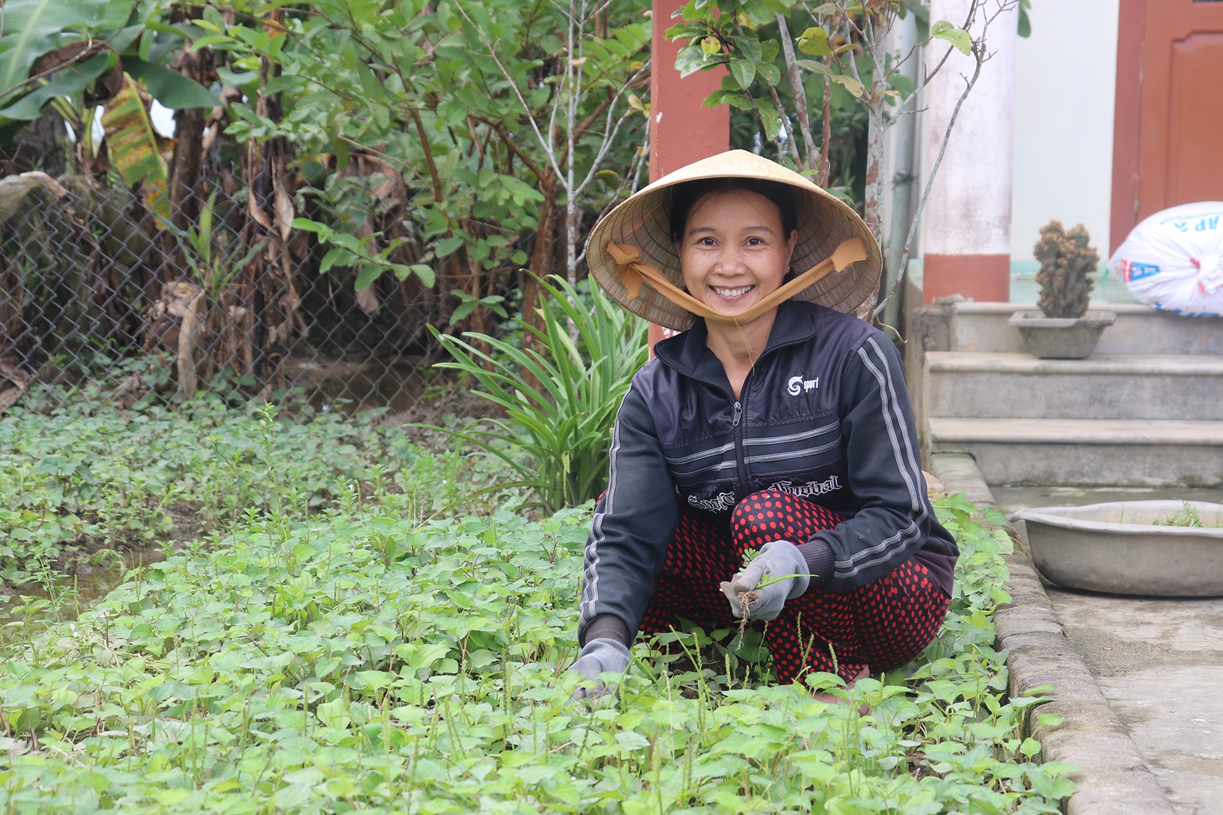 Chị Nhung tranh thủ thời gian chăm sóc vườn rau của gia đình - Ảnh: T.P