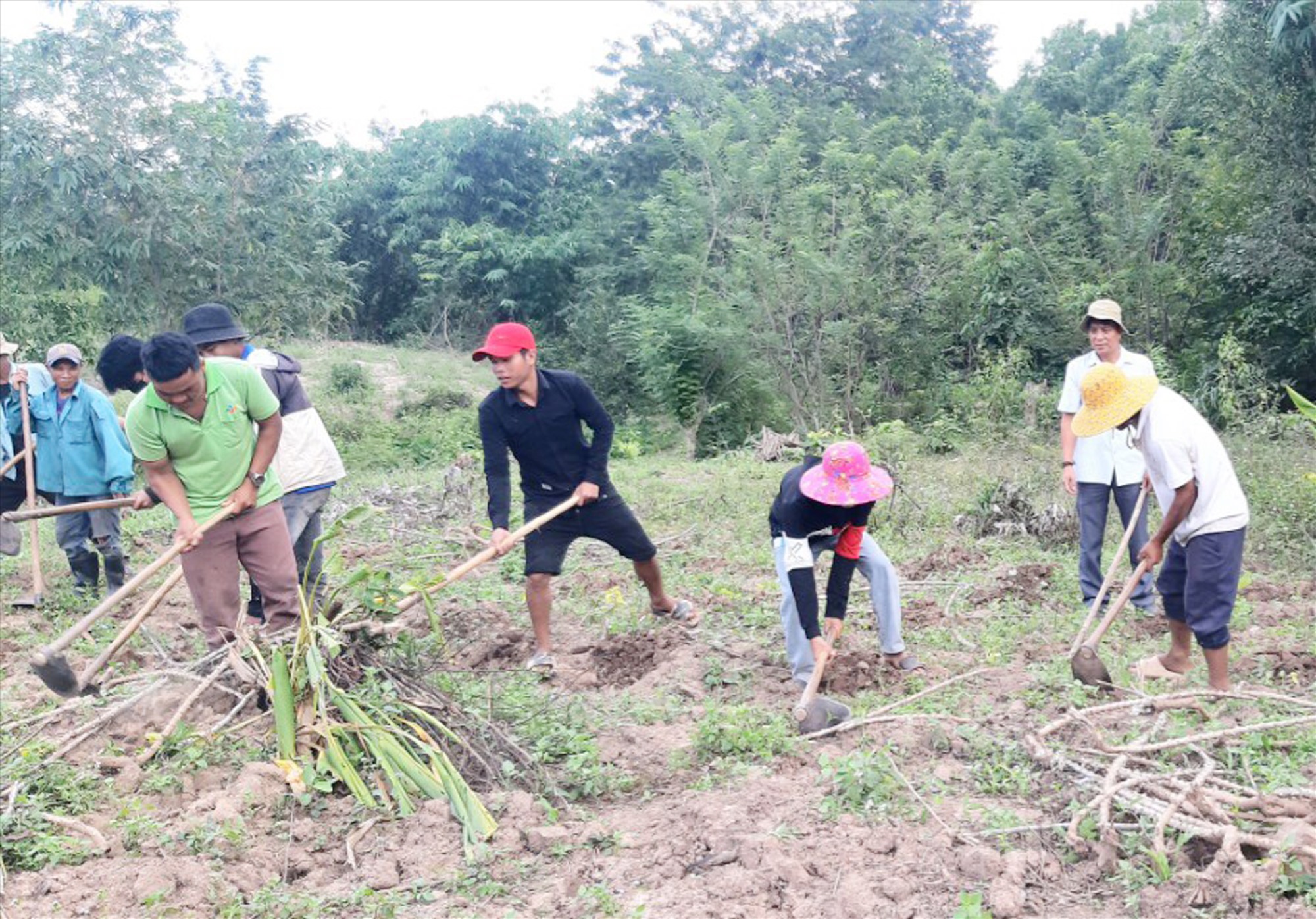 Học viên người dân tộc thiểu số thực hành nghề trồng sắn tại xã Lìa, huyện Hướng Hóa -Ảnh: TÚ LINH
