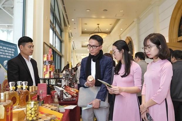 Các doanh nghiệp kết nối giao thương tại Hội nghị: Xúc tiến Thương mại, Đầu tư và Hợp tác kinh tế Việt Nam-Trung Quốc (Vân Nam).” (Ảnh: PV/Vietnam+)