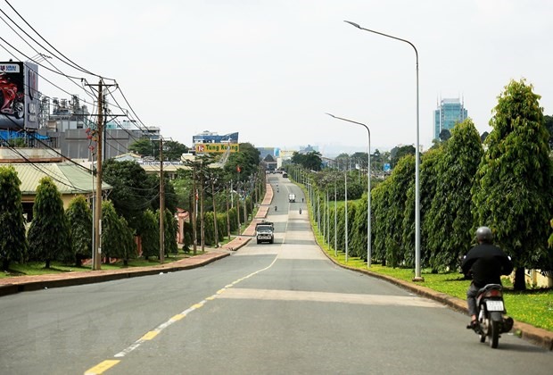 Con đường rợp cây xanh ở Đồng Nai. (Ảnh minh họa: Hồng Đạt/TTXVN)
