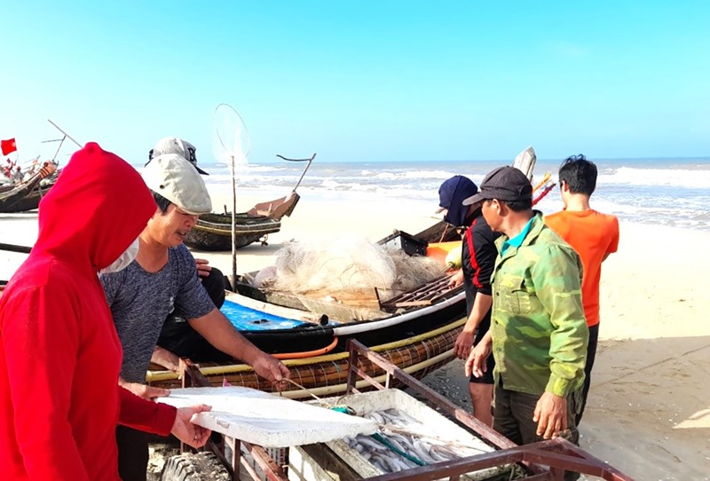 Ngư dân thôn Thâm Khê (xã Hải Khê, Hải Lăng) đánh bắt được nhiều cá, tôm sau chuyến “mở biển” đầu năm - Ảnh: H.A