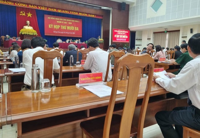 Ông Nguyễn Viết Dũng xin vắng mặt tại kỳ họp HĐND lần thứ 13 với lý do bị ốm.