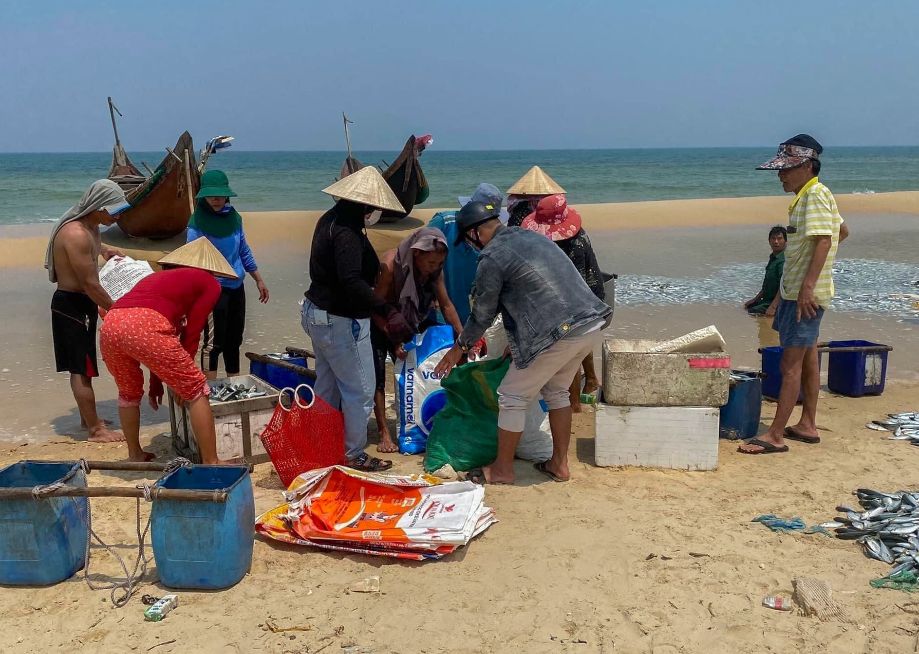 Số cá tròng được các tiểu thương thu mua ngay tại bãi biển - Ảnh: NDCC