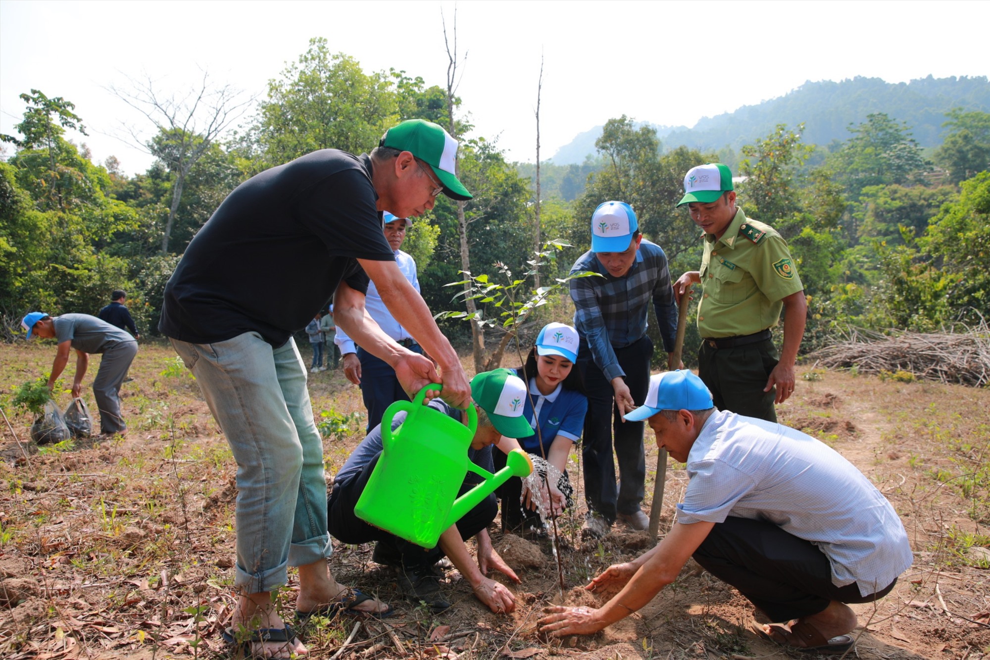 Các đại biểu trồng cây tại lễ khởi động Dự án trồng và phục hồi rừng đầu nguồn sông Thạch Hãn - Ảnh: Tân Lâm