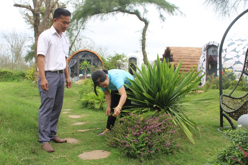 Công ty TNHH Sơn Trà tích cực đầu tư cơ sở vật chất, chỉnh trang khuôn viên homestay Sơn Thủy để phục vụ khách du lịch - Ảnh: H.T