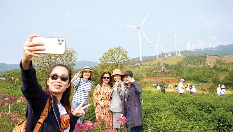 Nhiều bạn trẻ đến tham quan, chụp ảnh kỷ niệm tại điểm du lịch Vườn hoa chân trời nằm cạnh “cánh đồng” điện gió ở xã Hướng Tân, huyện Hướng Hóa - Ảnh: L.T