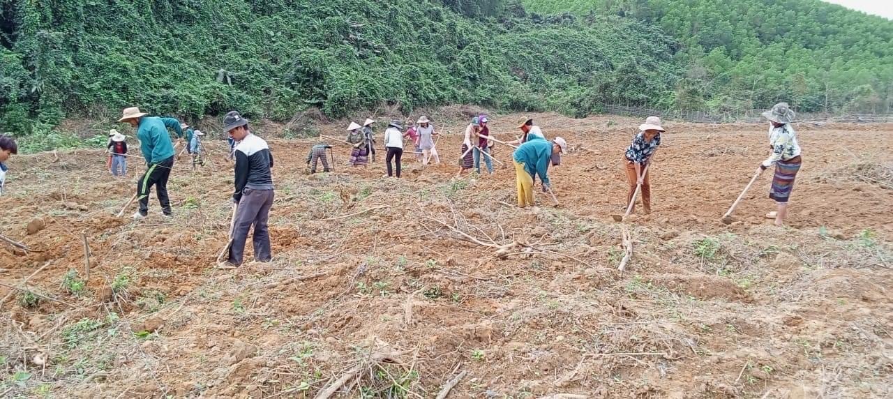 Các hộ đồng bào dân tộc Vân Kiều xã Vĩnh Ô khai hoang để trồng chuối -Ảnh: Nguyễn Trang