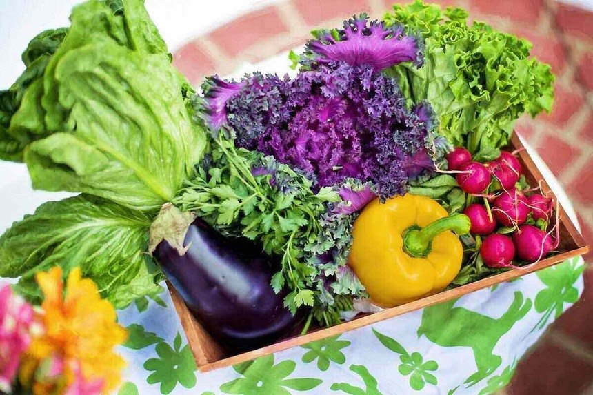 Chế độ ăn nhiều rau có thể làm giảm huyết áp, giảm nguy cơ mắc bệnh tim và đột quỵ, ngăn ngừa một số loại ung thư, giảm nguy cơ mắc các vấn đề về mắt và tiêu hóa. Ảnh: Lawn Love.