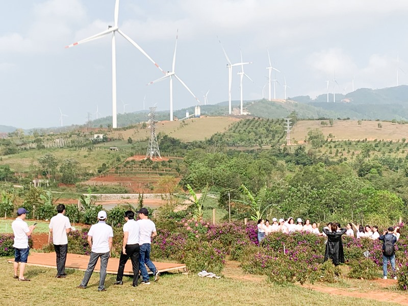 Phát triển điện gió mở ra cơ hội để khai thác tiềm năng du lịch ở địa bàn miền núi -Ảnh: H.N.K