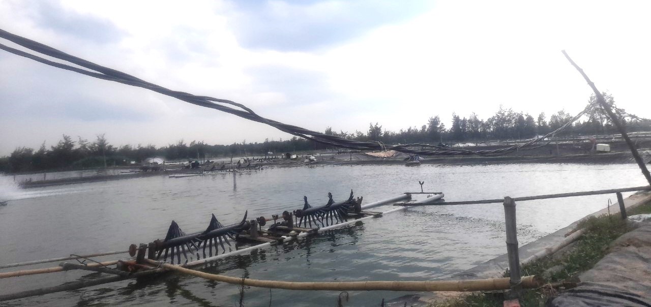 Một số hồ nuôi tôm của người dân ở Thôn 8, xã Triệu Vân - Ảnh: H.A