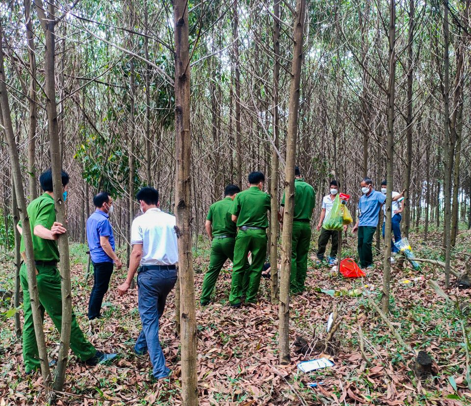 Lực lượng chức năng tìm thấy thi thể bà B. tại khu vực rừng tràm thuộc địa phận thôn Bến Tắt, xã Linh Trường - Ảnh: Trần Tuyền