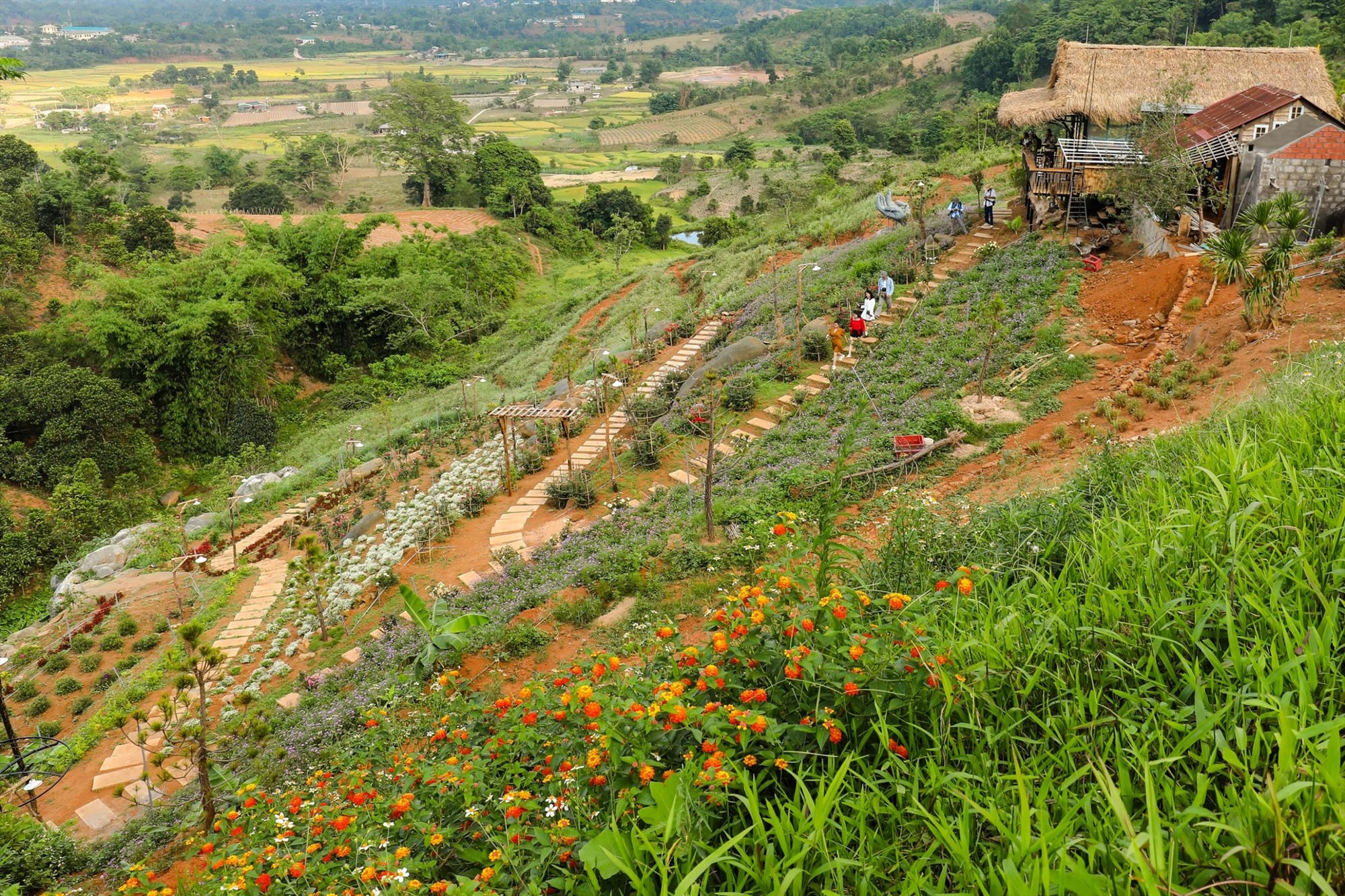 “Trong tương lai, Rose Farm sẽ chú trọng hơn đến vấn đền bảo tồn thiên nhiên, tích cực trong thêm cấy xanh, thả thú rừng, thu hút nhiều loại chim để tạo nên một hệ sinh thái mới tại farm.” Anh Hiền chia sẻ thêm