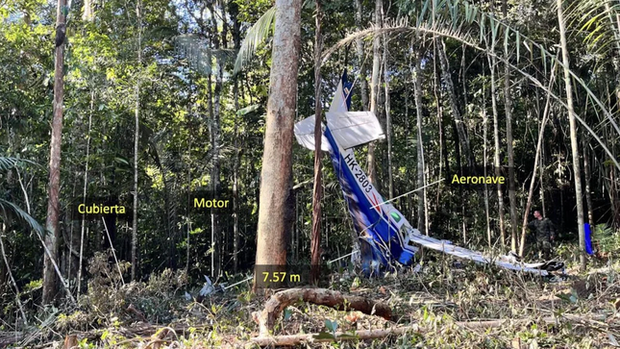 Xác máy bay rơi trong rừng rậm Amazon Nguồn: CNN