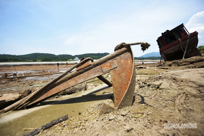 Nước sông Đà đột ngột rút mạnh khiến nhiều hộ nuôi cá lồng ở huyện Thanh Thủy (Phú Thọ) bị ảnh hưởng nặng nề.