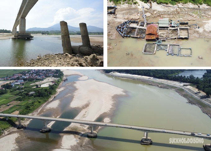 Nước sông Đà đột ngột rút mạnh khiến nhiều hộ nuôi cá lồng ở huyện Thanh Thủy (Phú Thọ) bị ảnh hưởng nặng nề.