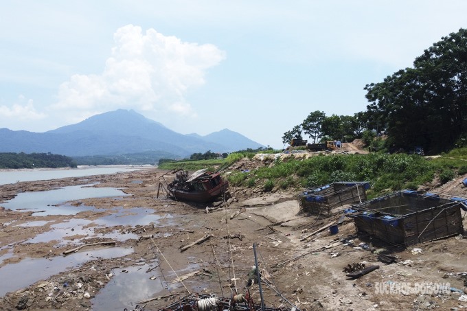 Nước sông Đà cạn không chỉ ảnh hưởng đến việc nuôi cá lồng mà còn ảnh hưởng đến việc đảm bảo nguồn nước tưới tiêu cho sản xuất nông nghiệp.