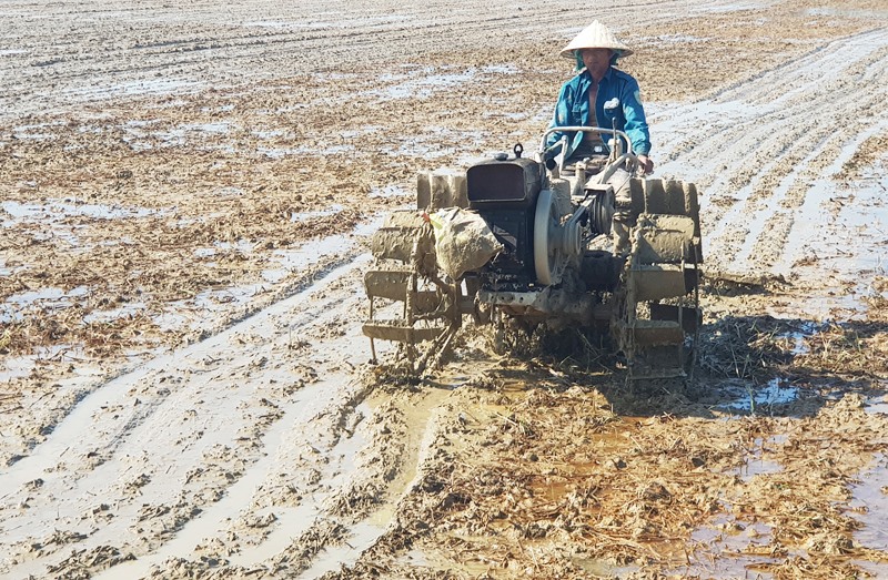 Nông dân trong tỉnh khẩn trương làm ruộng gieo cấy vụ hè thu 2023 -Ảnh: TÚ LINH