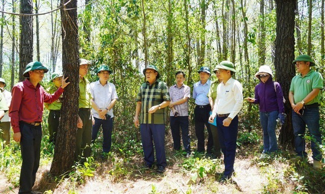Lãnh đạo tỉnh Quảng Trị kiểm tra công tác phòng chống cháy rừng - Ảnh: VGP/Lưu Hương