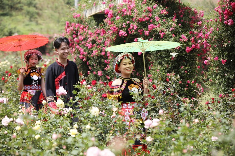 Lễ hội hoa hồng tại Sa Pa thu hút du khách.