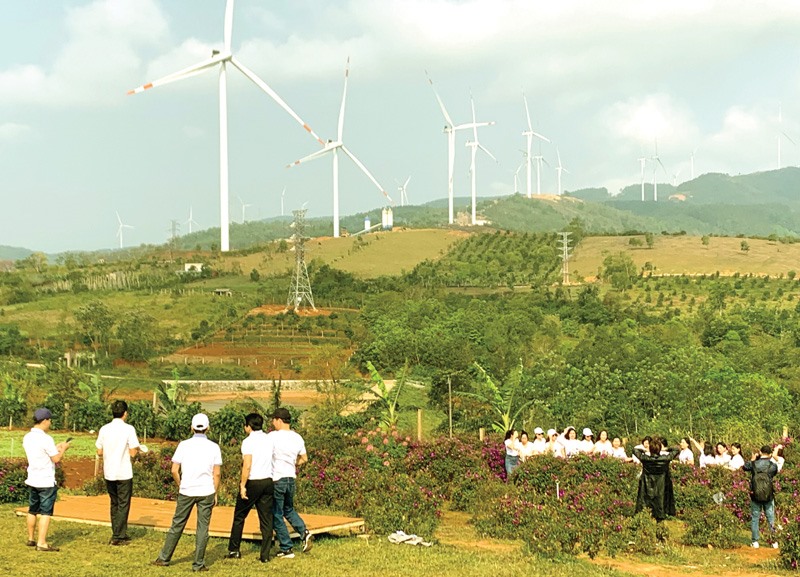 Du khách đến tham quan, trải nghiệm trên các công trình điện gió - Ảnh: N.V