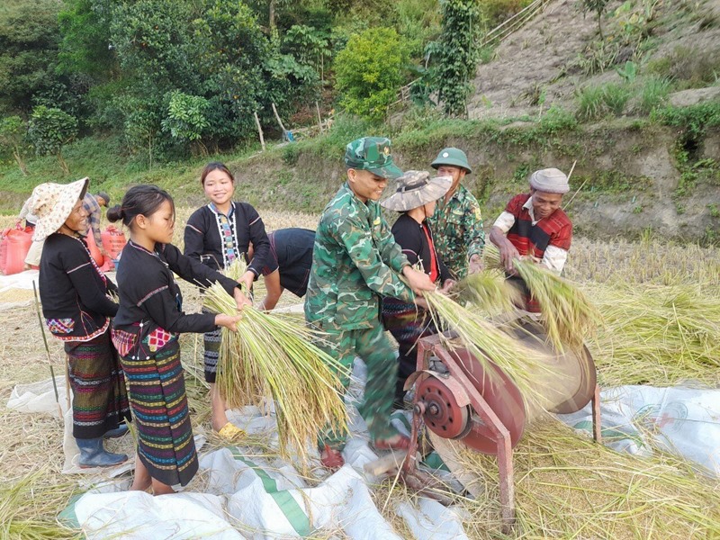 Đại úy Hồ Văn Hữu giúp người dân địa phương thu hoạch mùa màng - Ảnh: ĐÌNH TIẾN