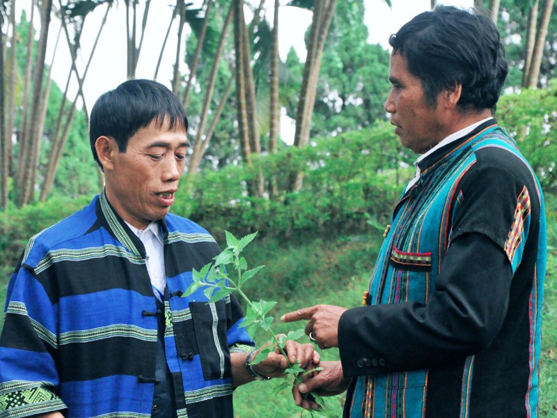 Ông Hồ Giang Kô (bên phải) chia sẻ kinh nghiệm của mình với một lương y ở huyện Hướng Hóa - Ảnh: T.L