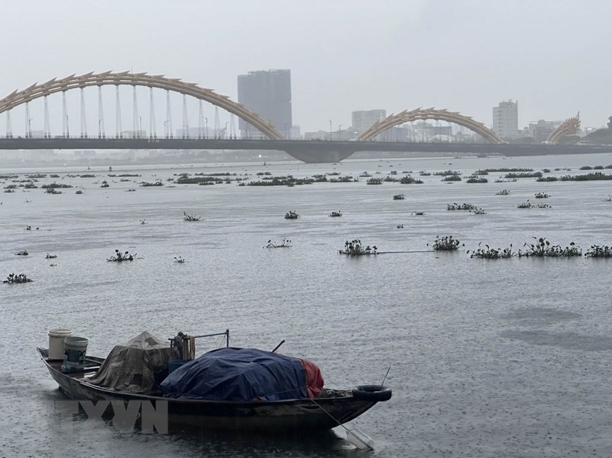 Nước thượng nguồn đổ về sông Hàn kèm theo bèo rác. (Ảnh: Trần Lê Lâm/TTXVN)