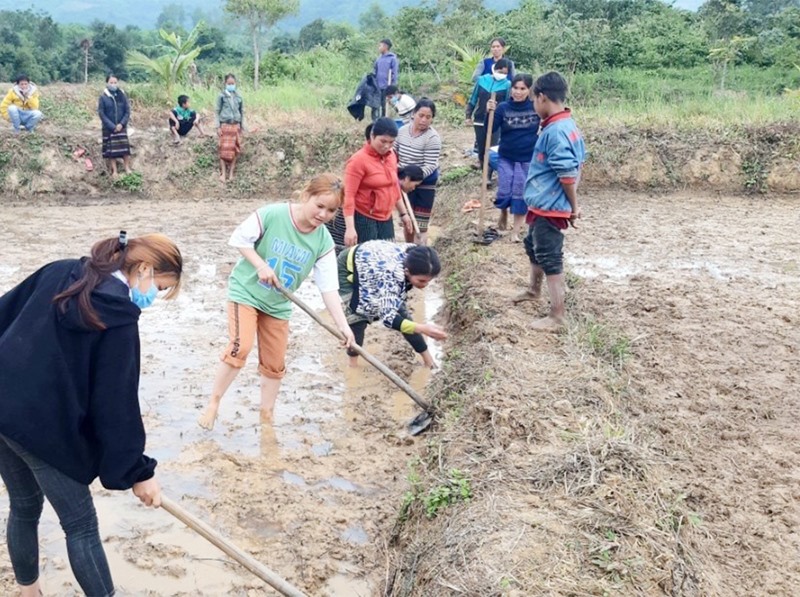 Dạy kỹ thuật trồng lúa nước cho người lao động là đồng bào dân tộc thiểu số ở huyện Hướng Hóa -Ảnh: TÚ LINH