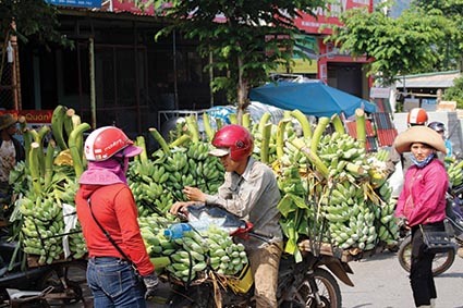 Chợ chuối xã Tân Long, huyện Hướng Hóa -Ảnh: T.H