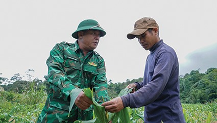 Cán bộ Đồn Biên phòng Hướng Phùng về tận ruộng hướng dẫn anh Hồ Văn Phoi cách chăm sóc cây ngô nếp trồng trái vụ - Ảnh: L.T