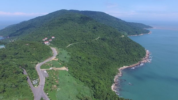 Bán đảo Sơn Trà có diện tích 4.390 ha, cảnh quan thiên nhiên đa dạng, khí hậu trong lành. (Ảnh tư liệu: Tùng Lâm/Vietnam+)