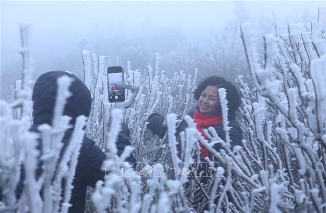 Du khách thích thú trước hiện tượng băng giá ở đỉnh núi Mẫu Sơn. Ảnh: Anh Tuấn/TTXVN