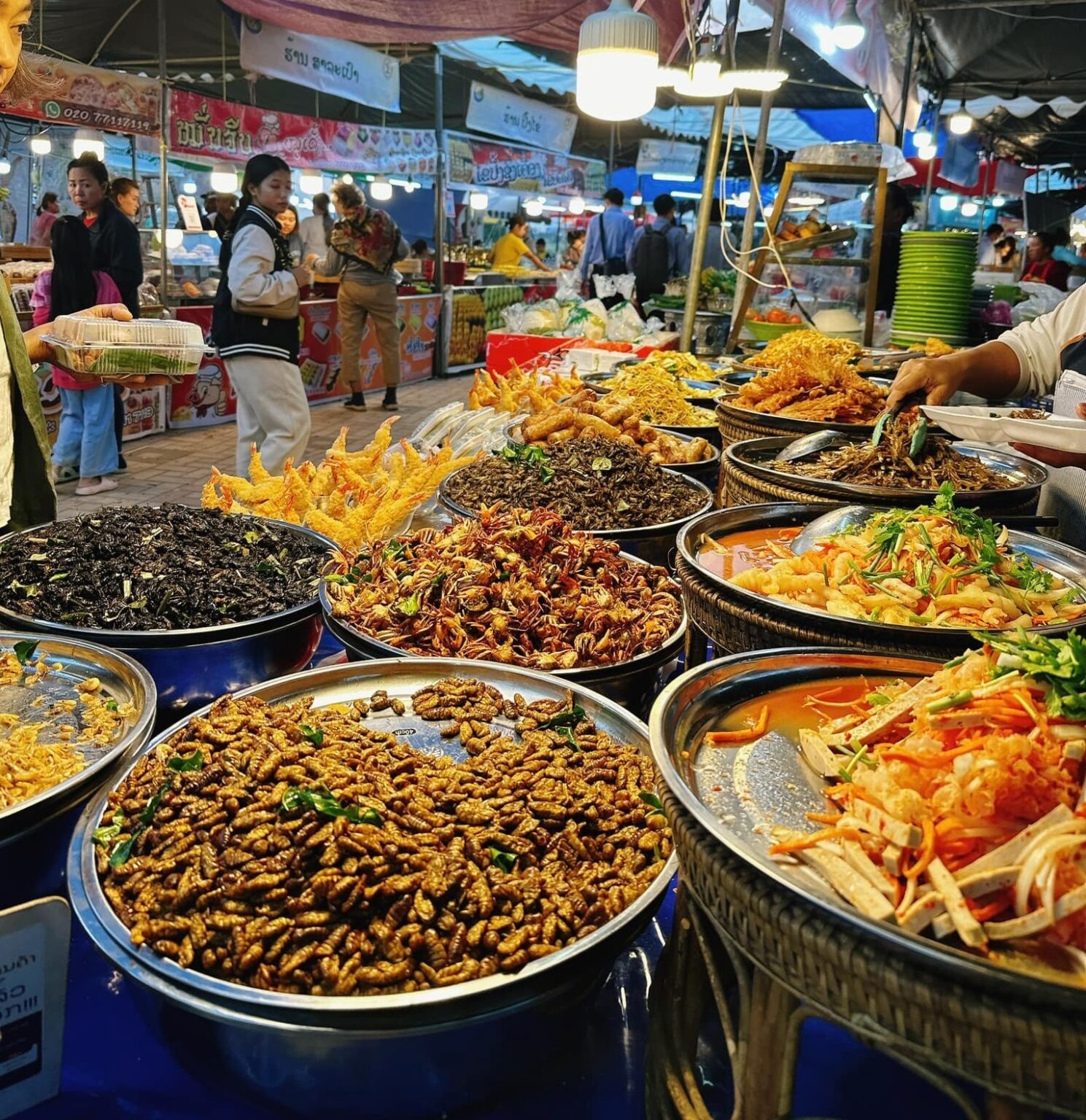 Hội chợ ẩm thực Lào đang diễn ra tại thủ đô Vientiane được kỳ vọng sẽ ghi nhận 6 tỷ kip giao dịch, từ ngày 23-27/1. Sự kiện mở từ 9h sáng đến 22h giờ tối tại Công viên Chao Anouvong ở bờ sông Mekong.