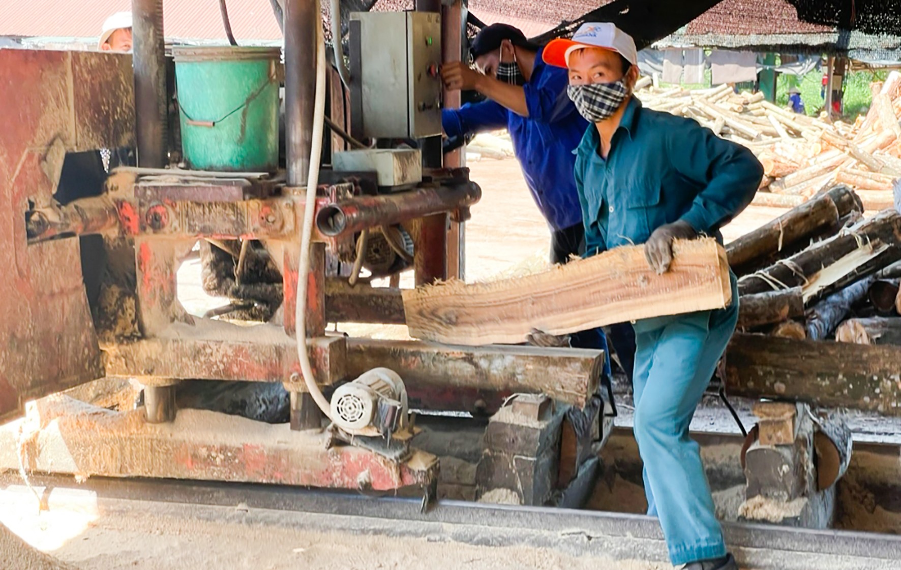 Chế biến gỗ rừng trồng ở Triệu Phong -Ảnh: N.V