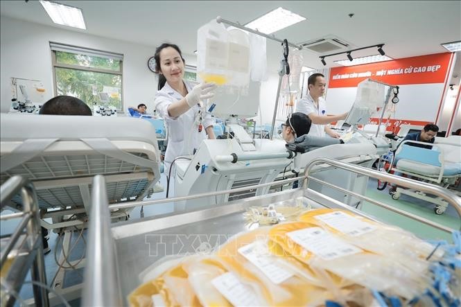 Công tác tiếp nhận tiểu cầu rất ổn định, bền vững, hầu như không có thời điểm nào xảy ra tình trạng thiếu tiểu cầu cho điều trị. Ảnh: Minh Quyết/TTXVN