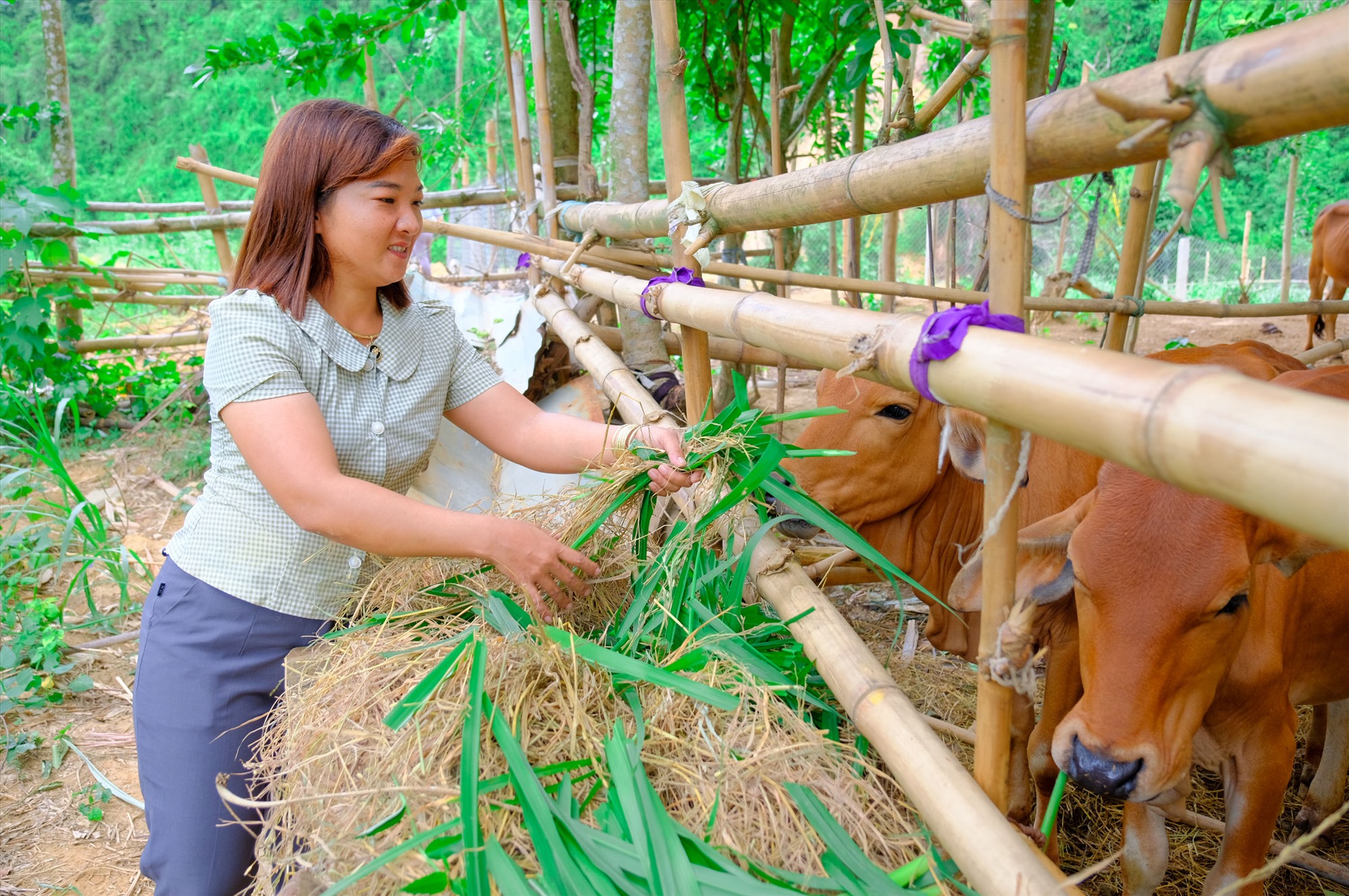 Chị Hiếu tuyên truyền, vận động người dân mạnh dạn phát triển kinh tế gia đình - Ảnh: Trần Tuyền