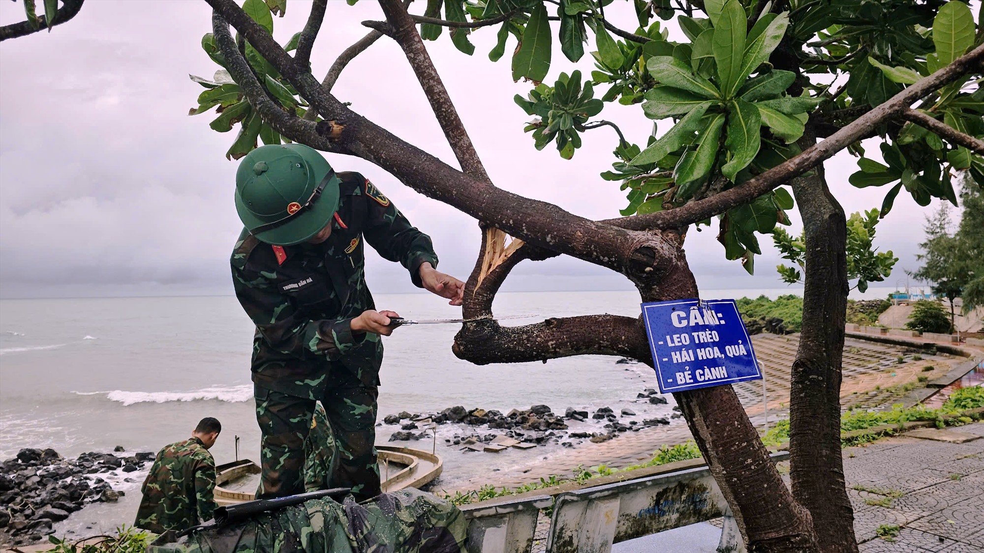 Cán bộ, chiến sĩ tổ chức dọn dẹp, cắt tỉa cây xanh ngã đổ tại các tuyến đường chính tại huyện đảo Cồn Cỏ sau bão - Ảnh: HĐCC