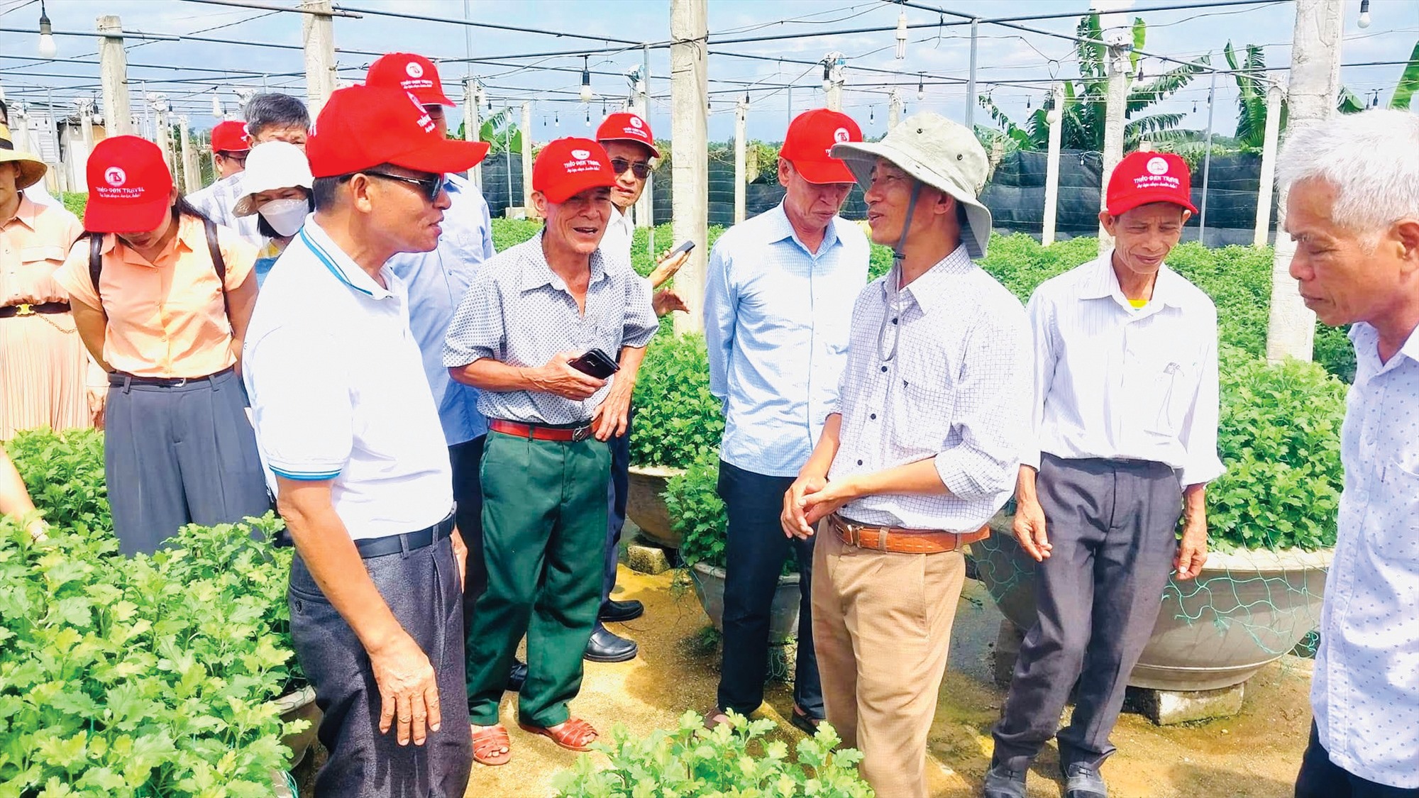 Một đoàn cán bộ ngoài tỉnh tham quan, học hỏi kinh nghiệm trồng hoa tại Tổ hợp tác trồng hoa An Lạc - Ảnh: Đ.V